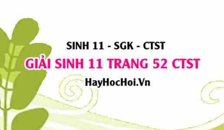 Giải Sinh 11 trang 52 Chân trời sáng tạo SGK